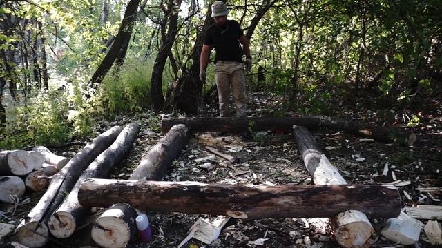 Лесная изба. Как я начал строительство своей первой лесной избы