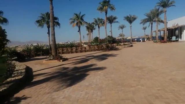 Обзор отеля CLUB Reef 4 *