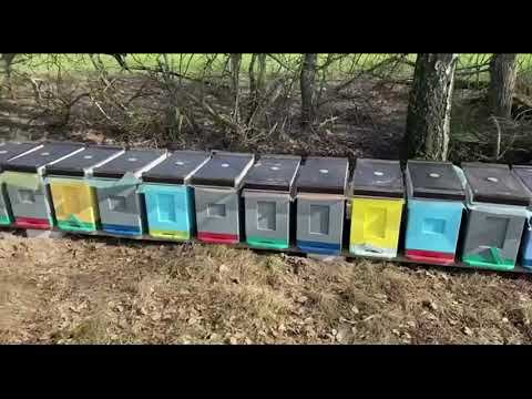 первая кочевка Пасека Sem Sot  2024