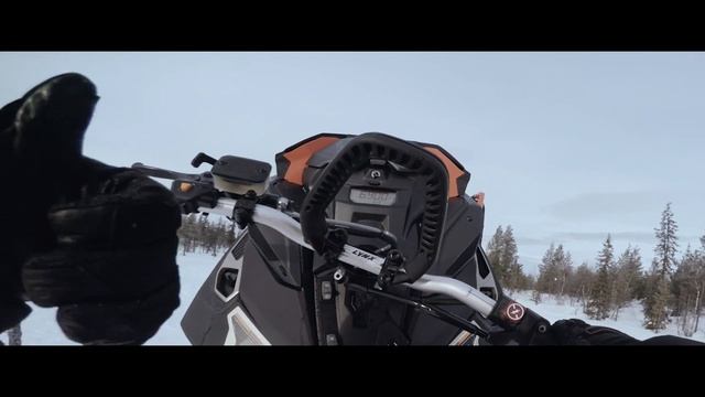 Lynx 2018 | 50th anniversary | 4K