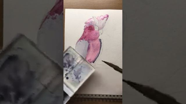 ПОПУГАЙ КАКАДУ АКВАРЕЛЬЮ| урок по акварели | Watercolor parrot