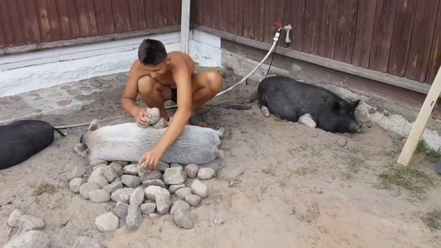 Черничная страна или "фишка" канала "Черничный хутор". Веселые  и позитивные видеосюжеты