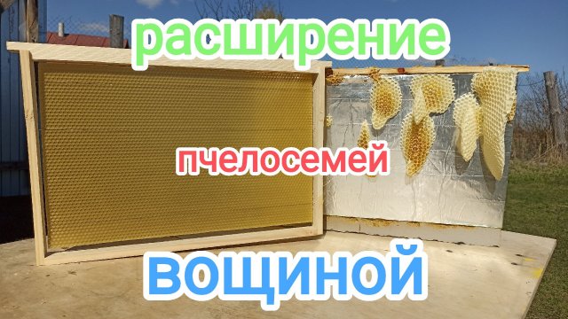 Продолжаю расширение пчелосемей вощиной в апреле! Пчеловодство!