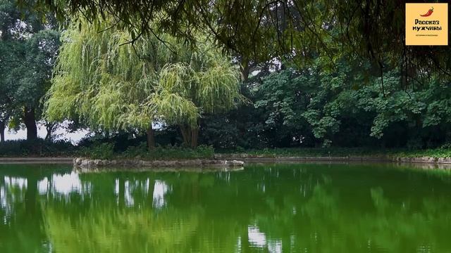 Рассказ мужчины | Измена жены. Поймал жену с любовником на горячем. Месть мужа. Реальна история