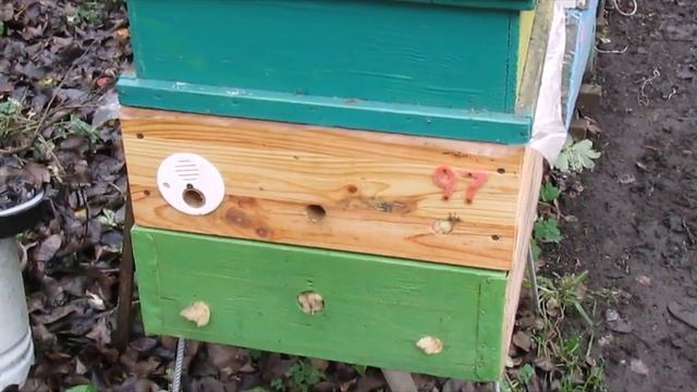 про расположение летков у ульев - на какую сторону света лучше располагать