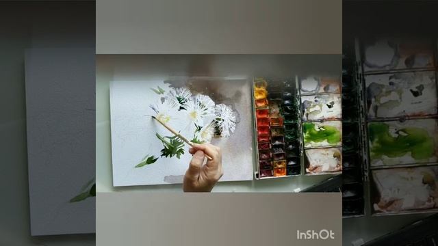 Рисуем белые  астры акварелью.