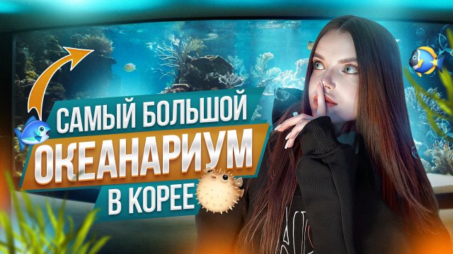 Самый большой океанариум в Корее