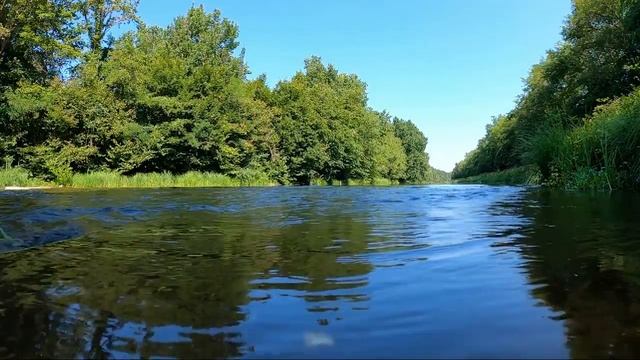 Псалтырь Кафизма 19 псалмы 134-142