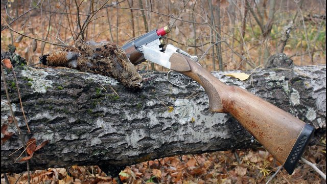 Осенняя охота на вальдшнепа с дратхааром