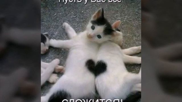 Каты