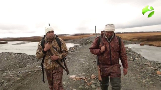 С полем! "Гусиная охота на полярном урале" Часть 2