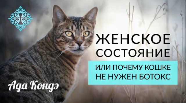 ЖЕНСКОЕ СОСТОЯНИЕ ИЛИ ПОЧЕМУ КОШКЕ НЕ НУЖЕН БОТОКС. Ада Кондэ