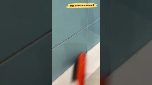 Удаление плесени на стенах и герметике