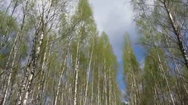 Илья Соловьев  Я лечу над Россией