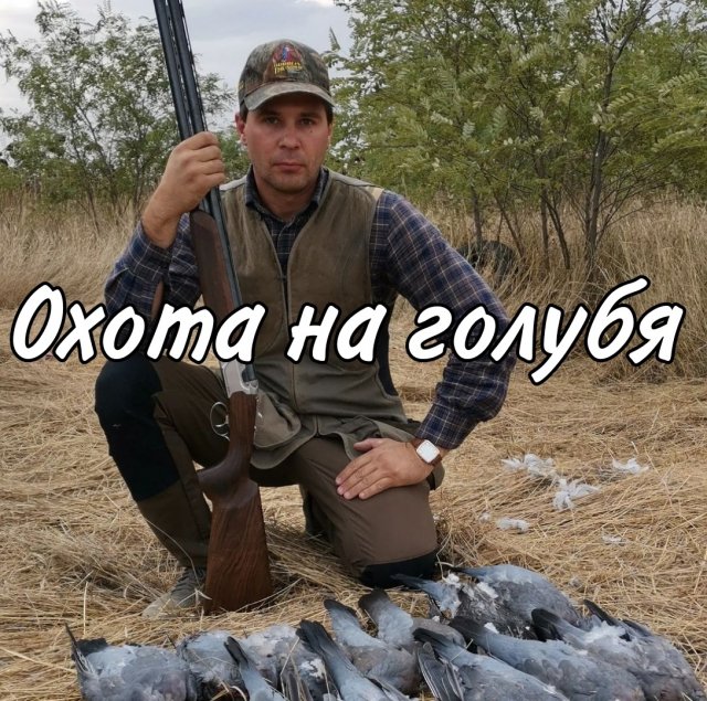 Oхота на голубя