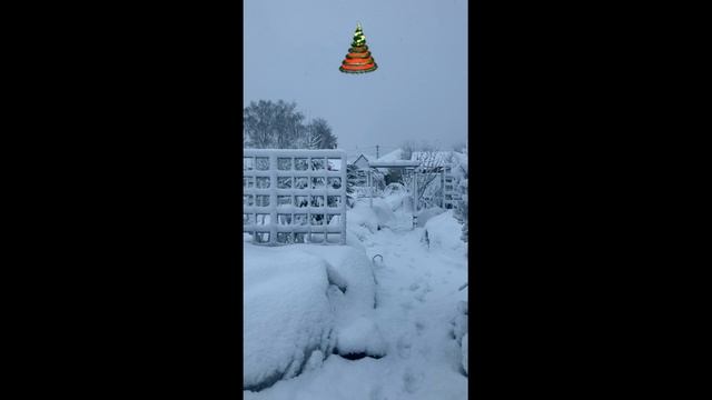 Снежная сказка в саду@Галина Баскакова Розовый сад.