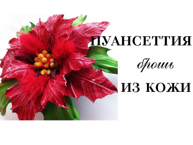 Мастер класс. Цветок из кожи. Пуансеттия.