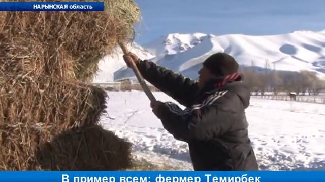 В пример всем: фермер Темирбек