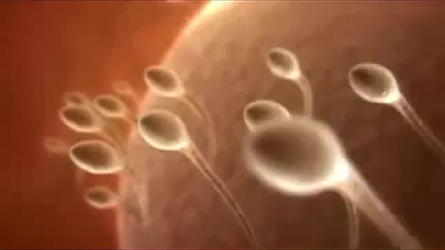 Как рождаются настоящие мужчины