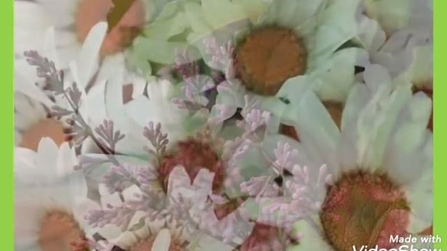 Цветы- украшение Земли