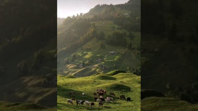 Рустам Асадуллин - Яшьлегем