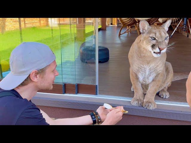 Когда встретили подписчиков на рыбалке! Пума Месси и два счастливчика у него в гостях!