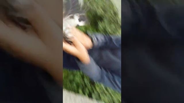 Нашли удота
