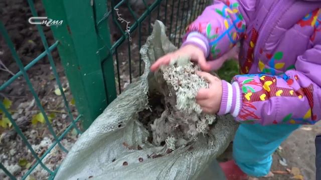 Жизнь замечательных зверей