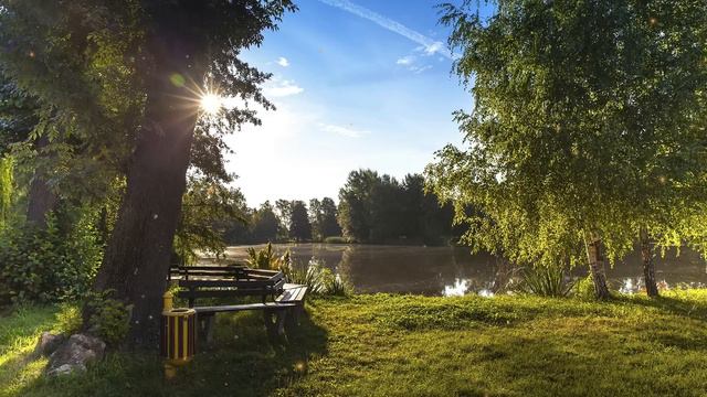 🍀 Positive energy 🍀 Shofik-Sunset Melodies