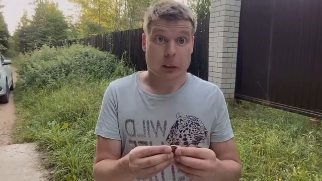 Мамкины бизнесмены (бизнес на мороженом)