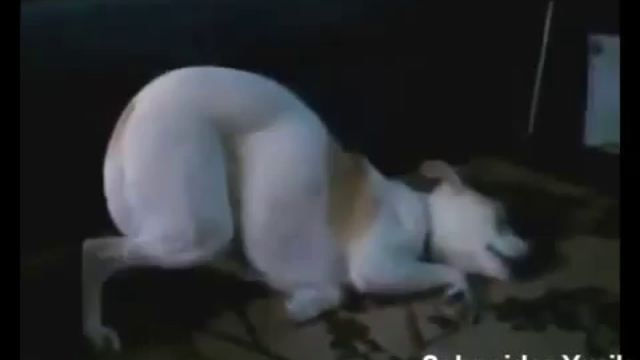 ПОЗИТИВЧИК.