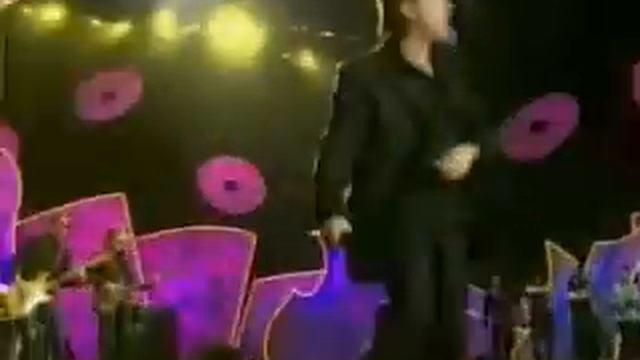 PUPO - Buratino