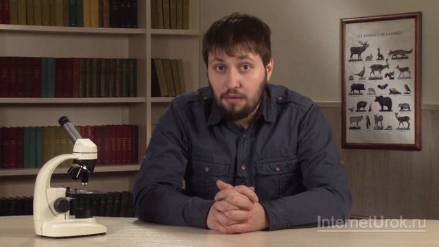 Круглые черви. Видеоурок по биологии 7 класс