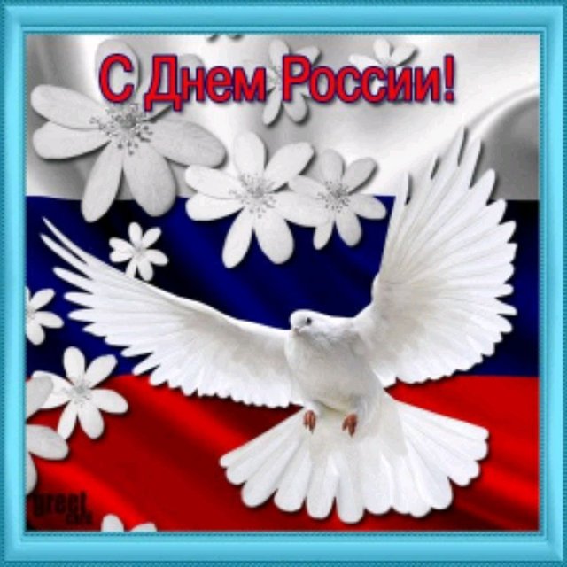 мы вместе