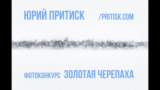 Юрий Притиск о фотоконкурсе Золотая Черепаха. Deadline 2020.02.29