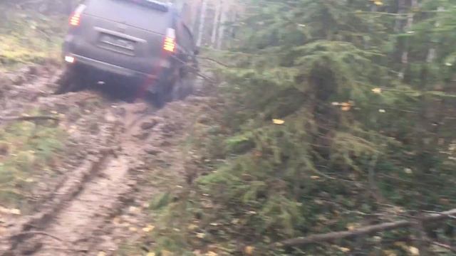 Toyota Land Cruser Prado 150, покатушки прадо 150,бездорожье