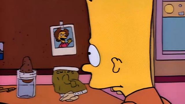 Симпсоны – 2 сезон 6 серия / The Simpsons