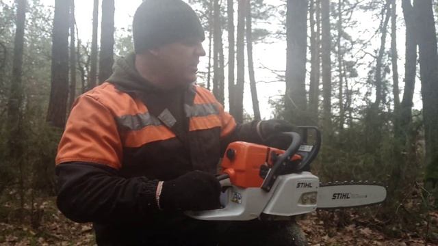 Пилю бензопилой Stihl MS 361.