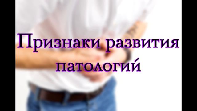 Печень человека - анатомия, строение и функции печени