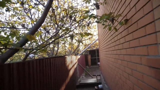 VLOG Спасаю реборна