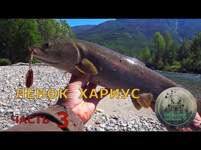 ХАРИУС - ЛЕНОК Северный Байкал рыбалка часть 3