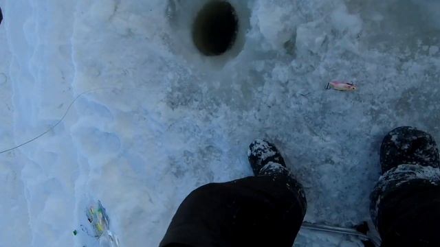 Щука сломала махалку!!! Зимняя рыбалка на Амуре