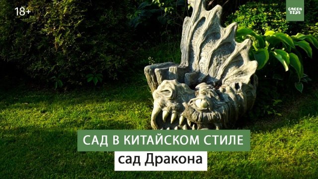 Сад Дракона в китайском стиле. Обзор сада.