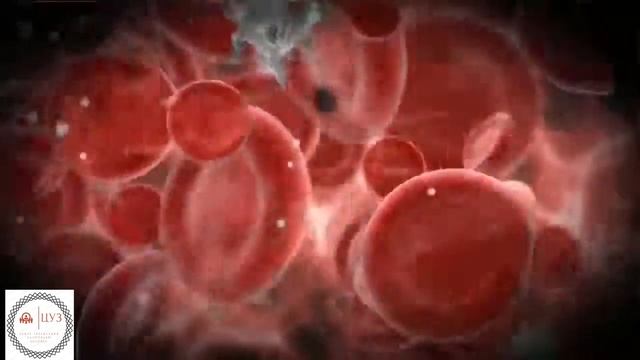 Приглашаем всех к нам в Центр Управления Здоровьем!.mp4