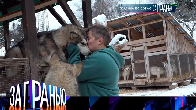 «За гранью»: «Жадина до собак» | Выпуск от 18 января 2023 года