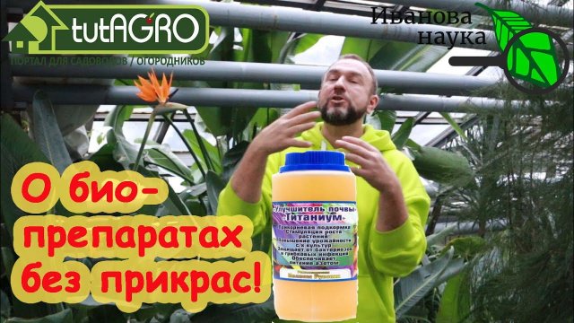 4 ВАЖНЫХ ВОПРОСА О БИОПРЕПАРАТАХ. Что умеет триходерма, можно ли переборщить и что с чем смешивать?