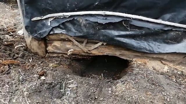 Как поднять сарай домкратом