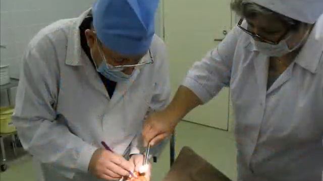 Кто нас защищает .