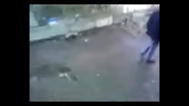 Дэнчик слазит! Улучшенное видео.