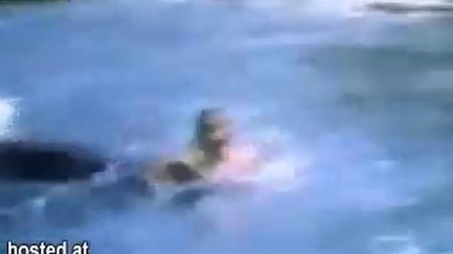 killer whale attack a hopeless girls